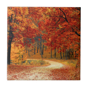 Seasonal colours of Autumn Ceramic Tile