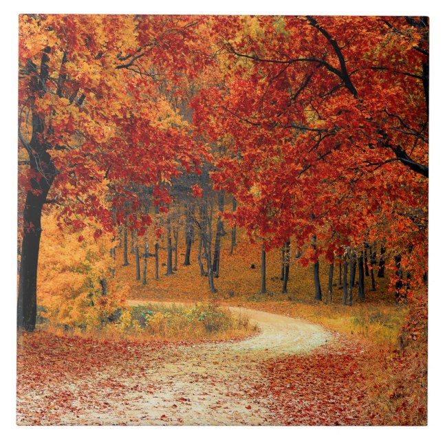 Seasonal colours of Autumn  Ceramic Tile (Front)