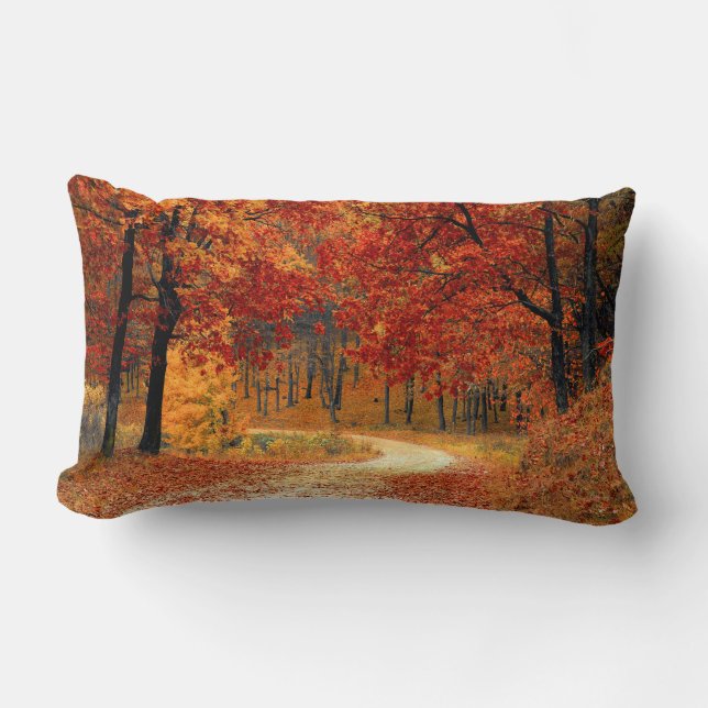 Seasonal colours of Autumn Lumbar Cushion (Front)