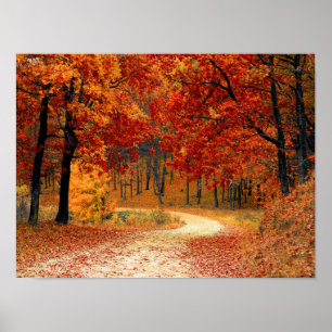 Seasonal colours of Autumn Poster
