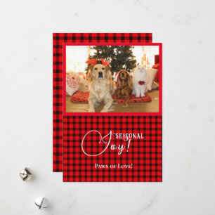 Seasonal Joy Xmas Dogs & Cat Pet Photo Red Frame Holiday Card