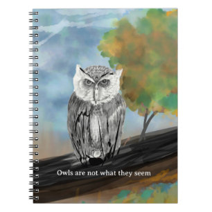 Seasonal Owl Painting in Nature Wonders Notebook