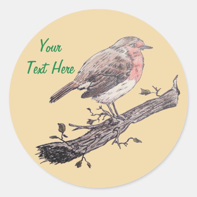 seasonal wildlife robin picture for christmas classic round sticker (Front)