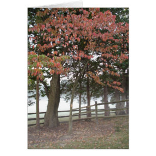 Seasons