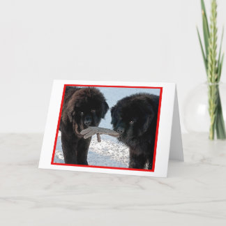 Season's Best. Holiday Card