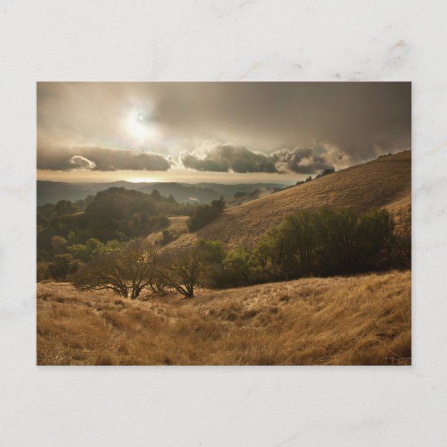 Season's First Rain Postcard (Front)