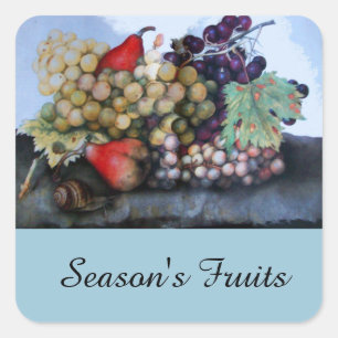 SEASON'S FRUITS 1 - GRAPES AND PEARS SQUARE STICKER
