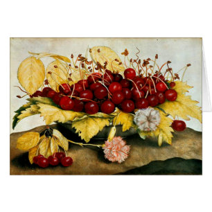 SEASON'S FRUITS / CHERRIES AND CARNATIONS
