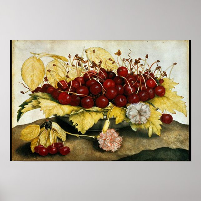SEASON'S FRUITS / CHERRIES AND CARNATIONS POSTER (Front)