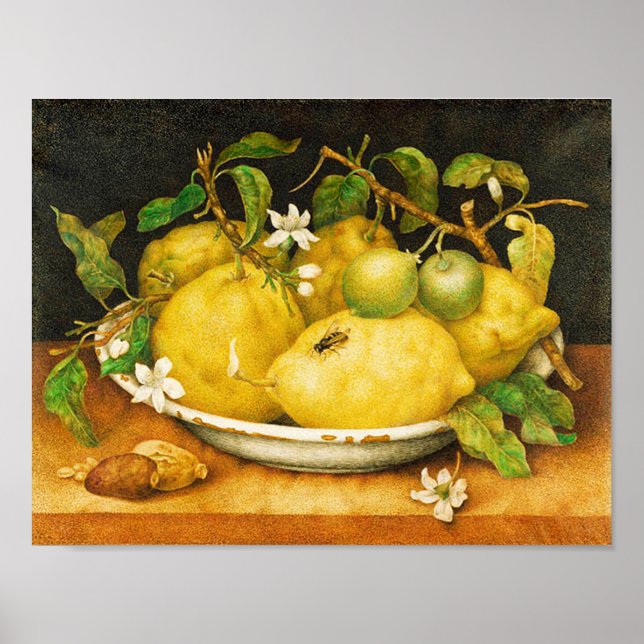 SEASON'S FRUITS LEMONS AND WHITE FLOWERS POSTER (Front)