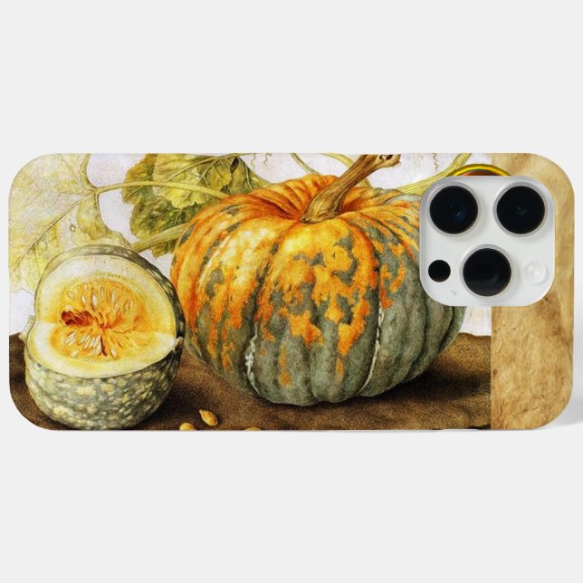 SEASON'S FRUITS  / PUMPKINS  Case-Mate iPhone CASE (Back (Horizontal))