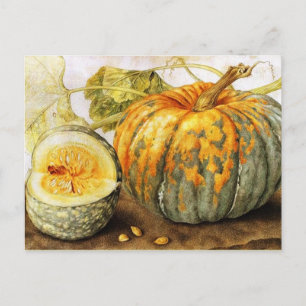 SEASON'S FRUITS / PUMPKINS Halloween, Thanksgiving Postcard