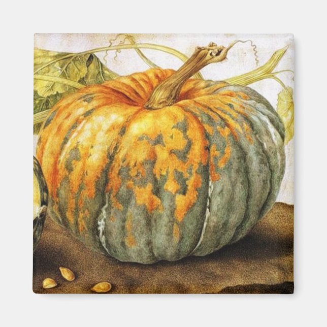 SEASON'S FRUITS  / PUMPKINS MAGNET (Front)