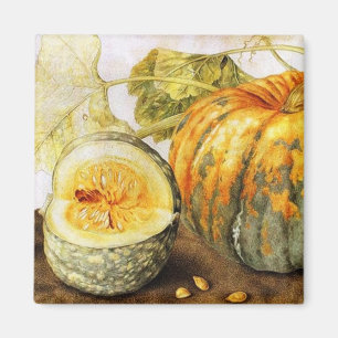 SEASON'S FRUITS  / PUMPKINS MAGNET