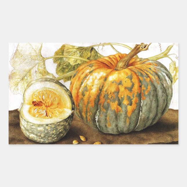 SEASON'S FRUITS  / PUMPKINS RECTANGULAR STICKER (Front)