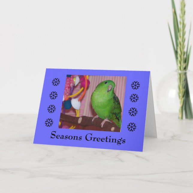 Seasons Greeting - Blank Card (Front)