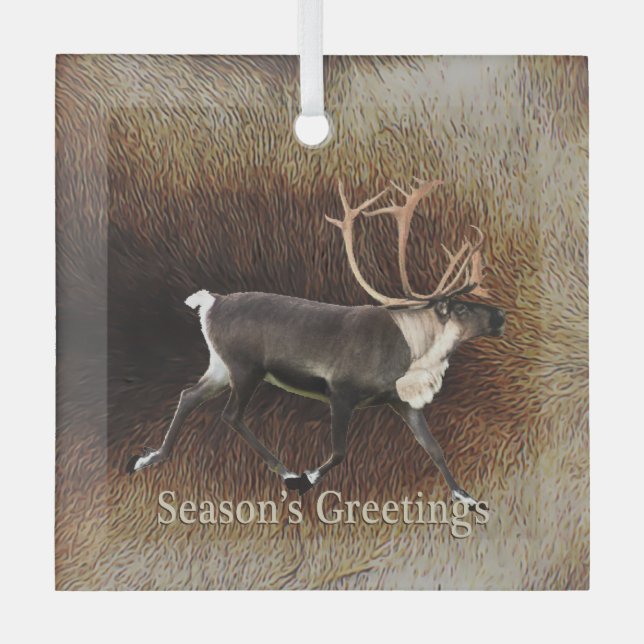 Season's Greeting - Bull Caribou (Reindeer) Glass Tree Decoration (Front)