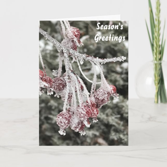 Season's Greeting Crabapple Tree Berries Holiday Card (Front)