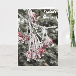 Season's Greeting Crabapple Tree Berries Holiday Card