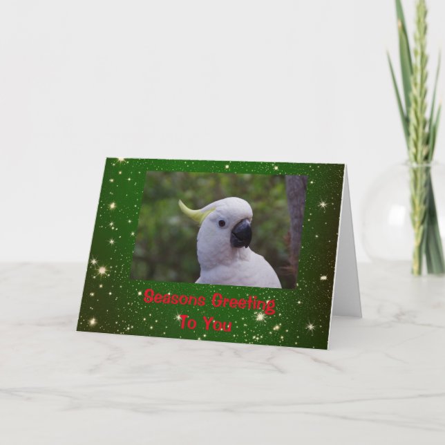 Seasons Greeting Holiday Card with Cockatoo Parrot (Front)