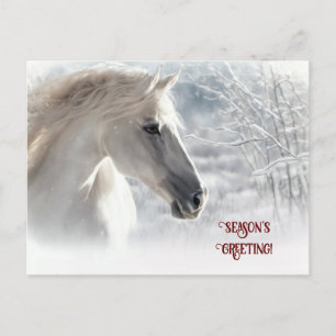 Season's Greeting White Horse and Snow Holiday Postcard