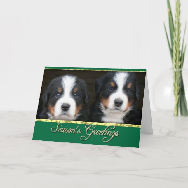 Season's greetings Bernese mountain dogs card (Front)