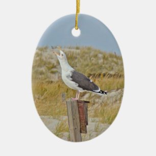 Season's Greetings Black Backed Gull Caroling Ceramic Ornament