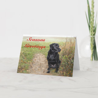 Seasons Greetings - Black Lab Holiday Card