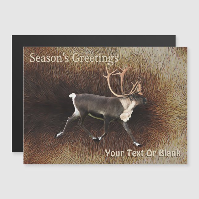 Season's Greetings - Bull Caribou (Reindeer) (Front/Back)