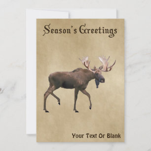 Season's Greetings - Bull Moose On Old Paper