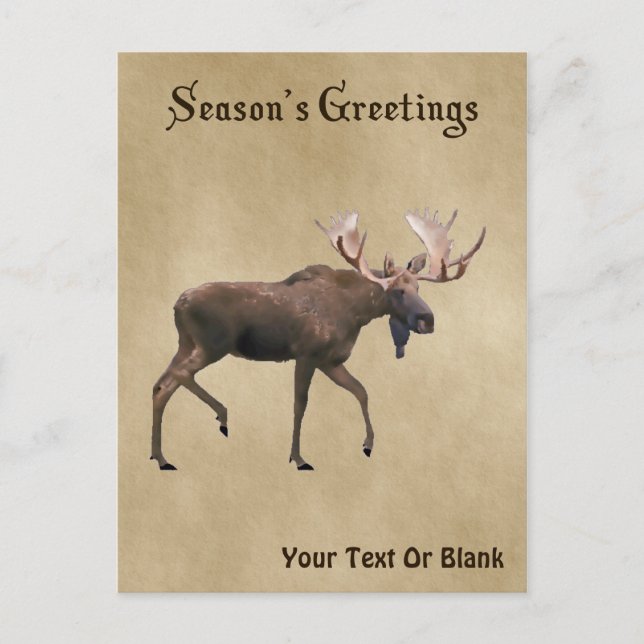 Season's Greetings - Bull Moose On Old Paper Postcard (Front)