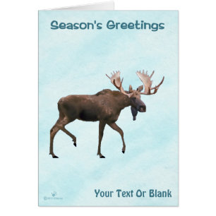Season's Greetings - Bull Moose On Snow