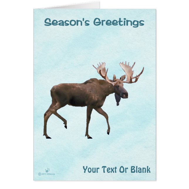 Season's Greetings - Bull Moose On Snow (Front)