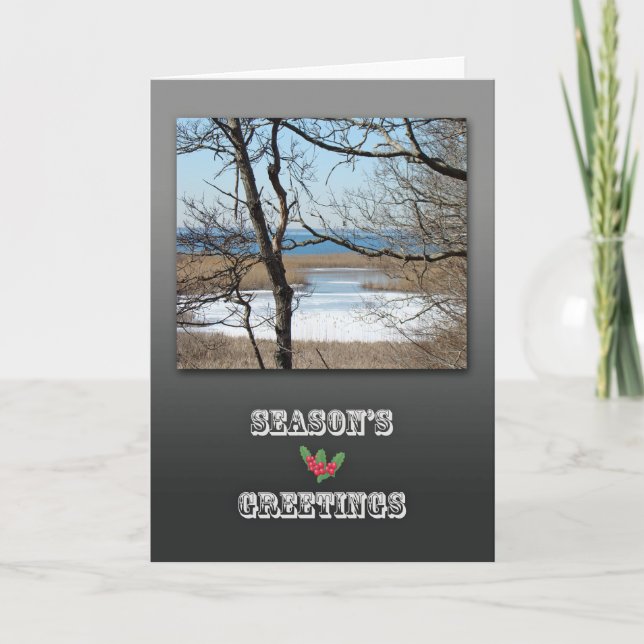 Season's Greetings - Cape Cod Salt Marsh Holiday Card (Front)