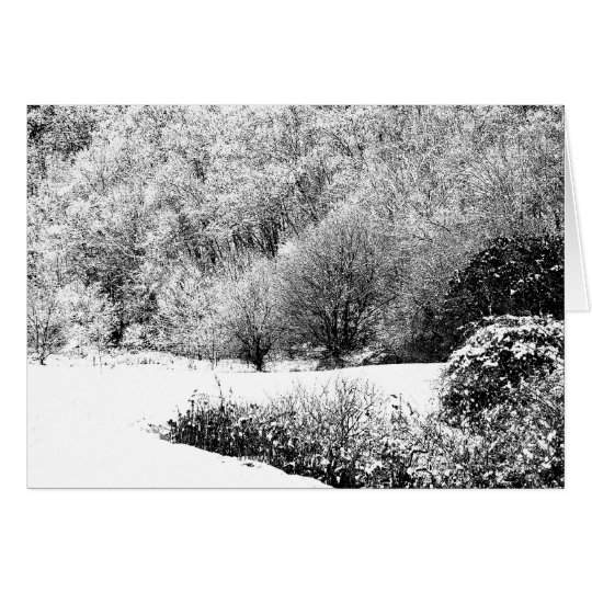 Seasons Greetings Card (non religious)