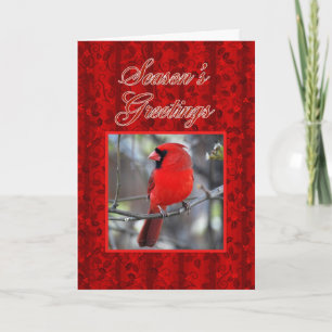 Season's Greetings Cardinal Holiday Card