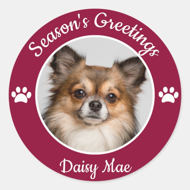 Season's Greetings Cute Dog Photo with Name Paws Classic Round Sticker (Front)