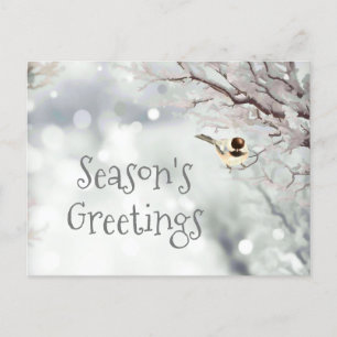 Season's Greetings Cute Winter Frost Bird Holiday Postcard