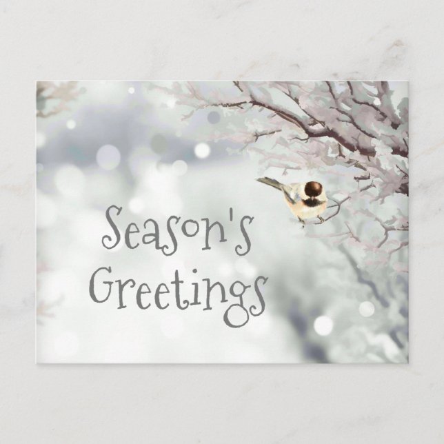 Season's Greetings Cute Winter Frost Bird Holiday Postcard (Front)
