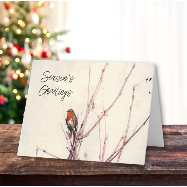 Seasons Greetings English Robin Personalised Holiday Card (Creator Uploaded)