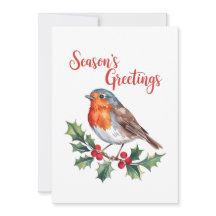 Season's Greetings From Cheerful Robin
