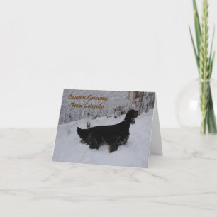 Seasons Greetings from Colorado Gordon Setter Card