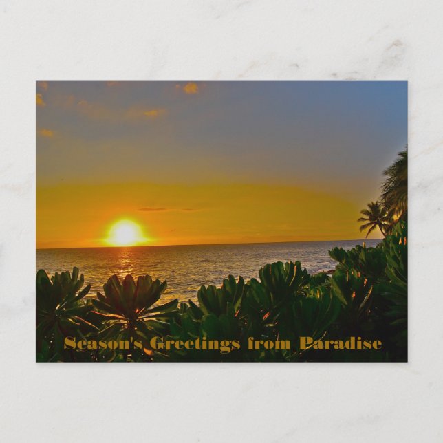 Season's Greetings from Paradise on Earth Holiday Postcard (Front)