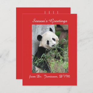 Seasons Greetings from Vet, Veterinarian, Postcard