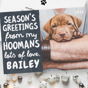 Season's Greetings Funny Modern Pet Custom Photo Holiday Card