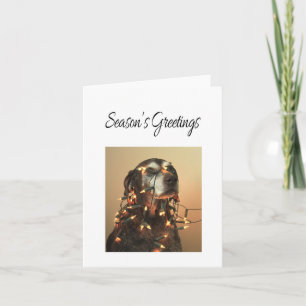 Season's Greetings german shorthaired pointer Holiday Card