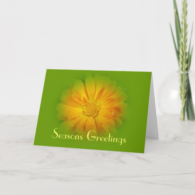 Seasons greetings  greeting card (Front)