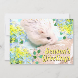 Season's Greetings Hamster with Blue Hydrangeas Holiday Card