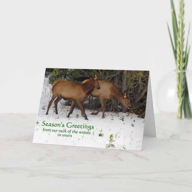 Season's Greetings Holiday Card (Front)