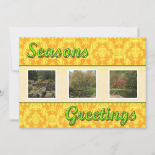 Season's greetings holiday card